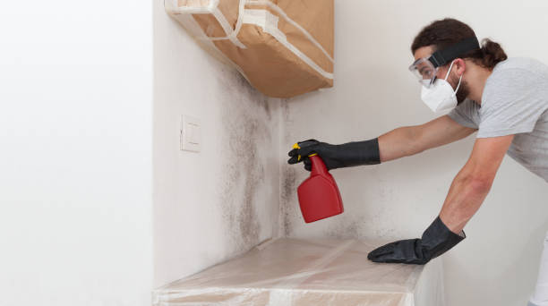 Professional Mold Remediation technician working in Capron, VA