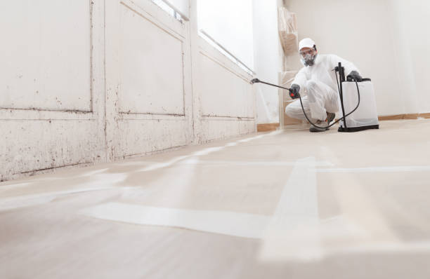 24/7 Emergency Mold Remediation experts in Capron, VA