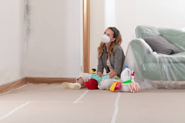 Reliable Mold Remediation contractor in Capron, VA by Cheap Mold Removal